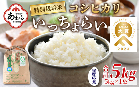 【令和5年産】特別栽培米 いっちょらい 無洗米 5kg ／ 福井県産 ブランド米 コシヒカリ ご飯 白米 新鮮 大賞 受賞