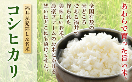 【令和7年産・新米】【一等米】特別栽培米 いっちょらい 無洗米 5kg ／ 福井県産 ブランド米 コシヒカリ ご飯 白米 新鮮 大賞 受賞 [aw012-a023]
