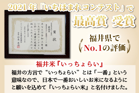 【令和6年産 新米】【一等米】いっちょらい 無洗米 5kg ／ 福井県産 ブランド米 コシヒカリ ご飯 白米 新鮮 大賞 受賞