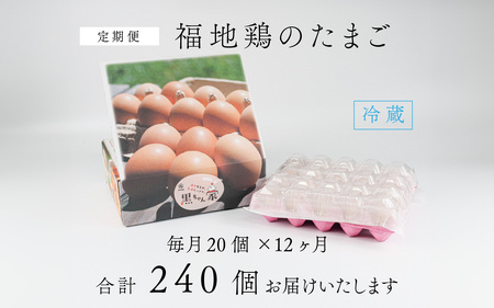 【12ヶ月連続お届け】福井ブランド「福地鶏」の卵 20個　濃厚で甘くておいしい！（10個入×2パック）定期便