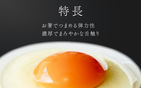 【12ヶ月連続お届け】福井ブランド「福地鶏」の卵 30個 濃厚で甘くておいしい！（15個入×2段）定期便