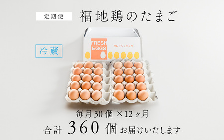 【12ヶ月連続お届け】福井ブランド「福地鶏」の卵 30個 濃厚で甘くておいしい！（15個入×2段）定期便