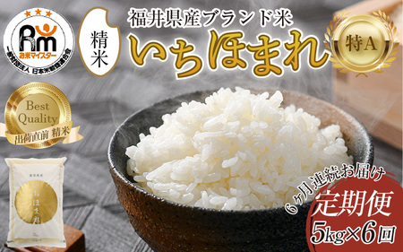 【令和7年産】定期便6回 いちほまれ 精米 5kg×6回（計30kg）《お米マイスターが発送直前に精米！》 ／ 福井県産 ブランド米 ご飯 白米 新鮮 [aw064-i002]
