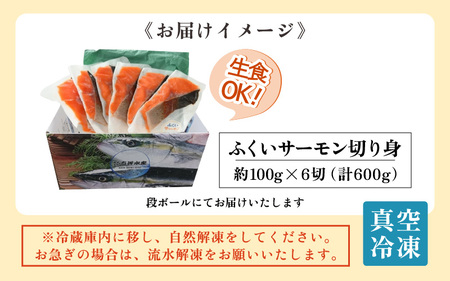 【先行予約】ふくいサーモン切り身 600g  (100g×6切) ＜鮮度抜群！アレンジ自在！真空冷凍＞ ／ 生食OK 刺身 焼き魚 鮭 国産※2024年6月中旬以降順次発送