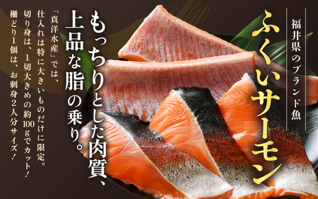 ふくいサーモンセット 計600g（切り身100g×3切・柵どり150g×2パック）＜鮮度抜群！アレンジ自在！真空冷凍＞ ／ 生食OK 刺身 焼き魚 鮭 国産 [aw002-b005]