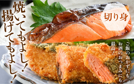 ふくいサーモンセット 計600g（切り身100g×3切・柵どり150g×2パック）＜鮮度抜群！アレンジ自在！真空冷凍＞ ／ 生食OK 刺身 焼き魚 鮭 国産 [aw002-b005]