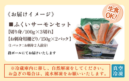 ふくいサーモンセット 計600g（切り身100g×3切・柵どり150g×2パック）＜鮮度抜群！アレンジ自在！真空冷凍＞ ／ 生食OK 刺身 焼き魚 鮭 国産 [aw002-b005]