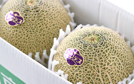 【先行予約】アンデスメロン 2玉入 5L（1.7kg以上×2玉）高糖度で抜群の美味しさお届け！／ 果物 フルーツ 産地直送 ※2026年6月下旬以降発送 [aw067-a004]