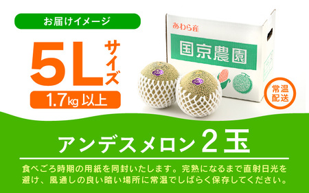 【先行予約】アンデスメロン 2玉入 5L（1.7kg以上×2玉）高糖度で抜群の美味しさお届け！／ 果物 フルーツ 産地直送 ※2026年6月下旬以降発送 [aw067-a004]