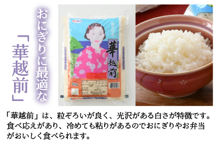 【令和5年産】福井のお米 食べ比べセット 2kg×3種 計6kg ／ 福井県産 ブランド米 ハナエチゼン コシヒカリ いちほまれ 精米 白米 食べ比べ あわら