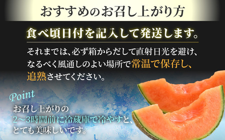 【先行予約】佐藤農園のマルセイユメロン 約3kg前後《秀品》(2～3玉入）深みのある甘さ とろける濃厚な赤肉！農家直送 有機肥料 低農薬 ※2026年6月上旬より順次発送予定 [aw069-a002]