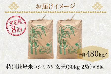 令和5年産】《定期便》60kg×8回 480kg 田んぼ一反分 特別栽培米