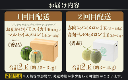 【先行予約】《定期便全2回》佐藤農園のフルーツ定期便 朝採り 計4玉（小玉スイカ・マルセイユメロン・レノンメロン・ペルルメロン）農家直送 秀品 お届け！※2026年6月上旬より順次発送 [aw069-b001]