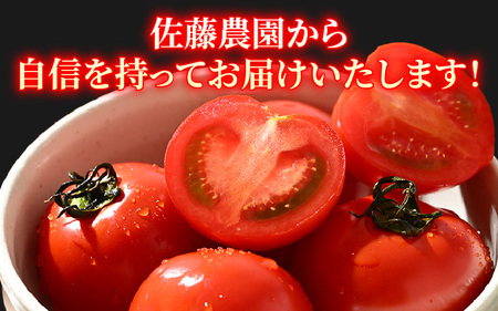 【先行予約】ミディトマト 越のルビー 約2kg 10パック（8パック＋品質補償2パック）／ 福井県産ブランドトマト 農家直送 有機肥料 低農薬 ※2026年9月下旬より順次発送 [aw069-a005]