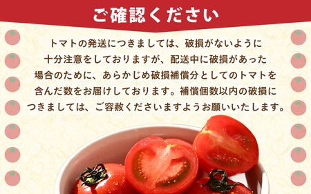 【先行予約】ミディトマト 越のルビー 約2kg 10パック（8パック＋品質補償2パック）／ 福井県産ブランドトマト 農家直送 有機肥料 低農薬 ※2026年9月下旬より順次発送 [aw069-a005]