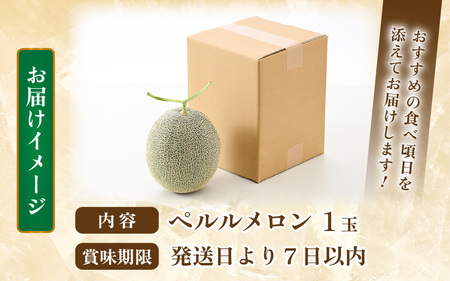 【先行予約】ペルルメロン 1玉（約2kg以上）青肉品種 高級メロン！ ／ マスクメロン 大玉 果物 フルーツ ギフト 農家直送 ※2026年6月下旬以降順次発送 [aw065-a006]