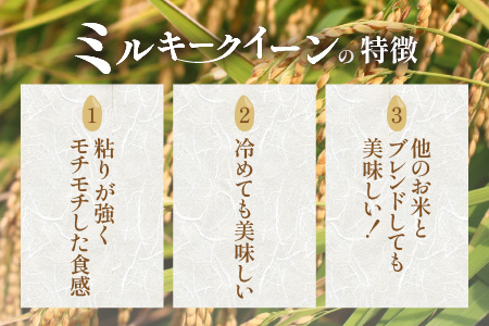 【令和6年産 新米】ミルキークイーン 玄米 10kg 特別栽培米 低農薬 《食味値85点以上！こだわり無洗米》 / 福井県 あわら市 北陸 米 お米 人気