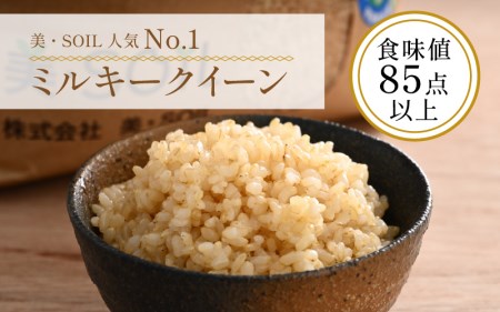 【令和6年産 新米】ミルキークイーン 玄米 10kg 特別栽培米 低農薬 《食味値85点以上！こだわり無洗米》 / 福井県 あわら市 北陸 米 お米 人気