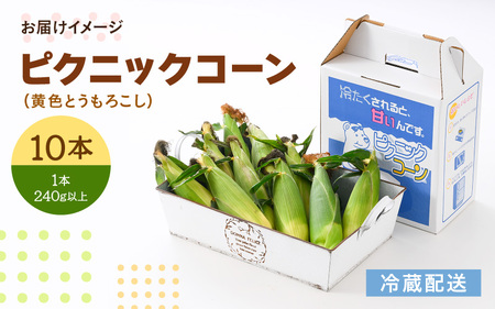 【先行予約】朝採り ピクニックコーン 黄色 10本入《生でも食べれる！希少品》 ／ 野菜 とうもろこし スイートコーン ※2026年6月上旬以降順次発送 [aw028-a007]