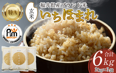 【令和5年産】いちほまれ 玄米 2kg×3袋（計6kg）《新鮮な高品質米をお届け！》／ 福井県産 ブランド米 ご飯