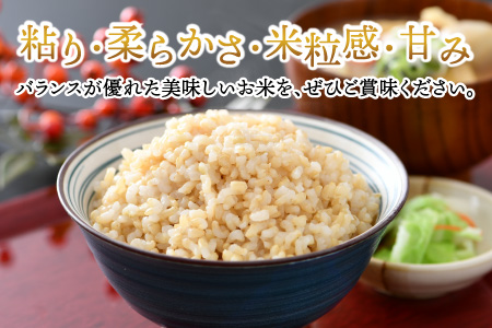 【令和5年産】いちほまれ 玄米 2kg×3袋（計6kg）《新鮮な高品質米をお届け！》／ 福井県産 ブランド米 ご飯