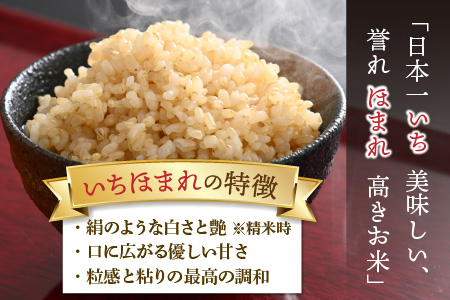 【令和5年産】いちほまれ 玄米 5kg×1袋《新鮮な高品質米をお届け！》／ 福井県産 ブランド米 ご飯