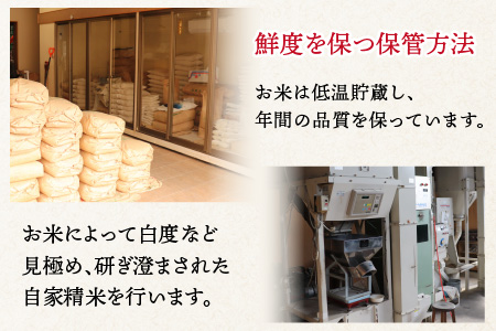 【令和5年産】いちほまれ 玄米 5kg×1袋《新鮮な高品質米をお届け！》／ 福井県産 ブランド米 ご飯