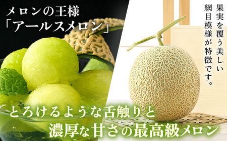 【先行予約】秋 アールスメロン 2玉（約1.6kg以上×2玉）青肉品種 高級メロン！ ／ マスクメロン 大玉 果物 フルーツ ギフト 農家直送 ※2026年9月中旬以降発送  [aw065-a009]