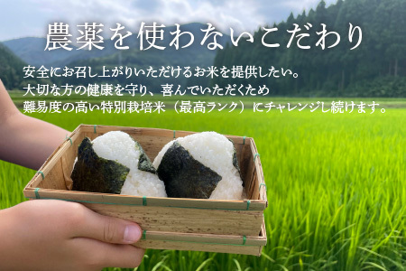 【先行予約】【令和6年産】コシヒカリ 玄米 5kg 特別栽培米 化学肥料不使用  ＜温度と湿度を常時管理し新鮮米を出荷！＞ / 伊与衛門農園の特別栽培米 高品質 鮮度抜群 福井県 あわら市産 ブランド米 R6 新米 北陸 お米 ご飯 ※2024年9月下旬より順次発送予定