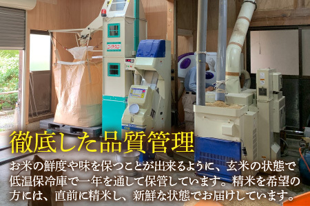 【先行予約】【令和6年産】コシヒカリ 玄米 5kg 特別栽培米 化学肥料不使用  ＜温度と湿度を常時管理し新鮮米を出荷！＞ / 伊与衛門農園の特別栽培米 高品質 鮮度抜群 福井県 あわら市産 ブランド米 R6 新米 北陸 お米 ご飯 ※2024年9月下旬より順次発送予定