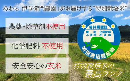 【先行予約】【令和8年産 新米】伊与衛門農園のコシヒカリ 玄米 10kg 特別栽培米 5kg×2袋 化学肥料不使用 ＜温度と湿度を常時管理し新鮮米を出荷！＞／ 高品質 鮮度抜群 福井県あわら産 ブランド米 お米 ※2026年9月下旬より順次発送予定 [aw071-c001]