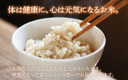 【先行予約】【令和8年産 新米】伊与衛門農園のコシヒカリ 玄米 10kg 特別栽培米 5kg×2袋 化学肥料不使用 ＜温度と湿度を常時管理し新鮮米を出荷！＞／ 高品質 鮮度抜群 福井県あわら産 ブランド米 お米 ※2026年9月下旬より順次発送予定 [aw071-c001]