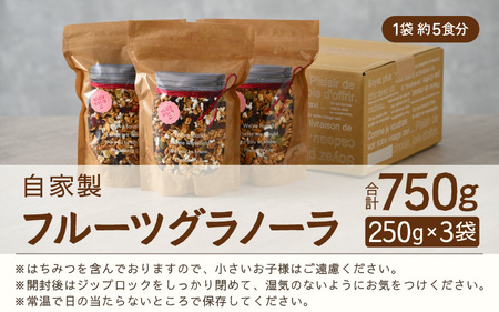 無添加 グラノーラ 250g×3袋（計750g）自家製 フルーツグラノーラ ／ 着色料不使用 オーガニック 果物 ドライフルーツ オートミール ヨーグルト 牛乳 シリアル 朝食 グルメ お取り寄せ ギフト 国産 ドライフルーツ ミックス クランベリー レーズン ナッツ きび砂糖 小分け グラノラ [aw051-a001]