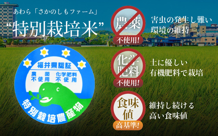 【先行予約】【令和8年産 新米】定期便《12ヶ月連続お届け》コシヒカリ 精米 5kg （計60kg）特別栽培米 農薬不使用 化学肥料不使用 ／残留農薬ゼロ 高品質 鮮度抜群 福井県産 ブランド米 白米 ※2026年10月上旬以降順次発送 [aw063-o005]