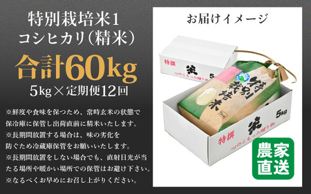 【先行予約】【令和8年産 新米】定期便《12ヶ月連続お届け》コシヒカリ 精米 5kg （計60kg）特別栽培米 農薬不使用 化学肥料不使用 ／残留農薬ゼロ 高品質 鮮度抜群 福井県産 ブランド米 白米 ※2026年10月上旬以降順次発送 [aw063-o005]
