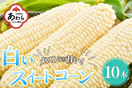 【先行予約】朝採り 白とうもろこし 10本入《外皮ごとレンジでチン！メロンより甘い！》／ 野菜 スイートコーン 白 ホワイトコーン ホワイト とうもろこし バーベキュー 夏 ※2025年6月中旬より順次発送