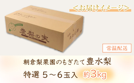 【先行予約】《数量限定》豊水梨 特選 5～6玉入 約3kg もぎたて 新鮮 ／ 期間限定 果物 フルーツ 農家直送 お取り寄せ 豊水 梨 なし 福井県 あわら市 ※2026年9月上旬より順次発送予定 [aw042-a004]