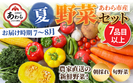 先行予約】農家直送 夏野菜セット 1箱 7品目以上 《元気に育った新鮮