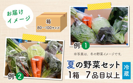 先行予約】農家直送 夏野菜セット 1箱 7品目以上 《元気に育った新鮮