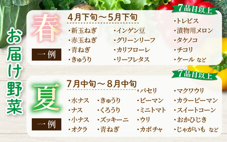 ＜定期便 4回＞ 新鮮野菜セット 1箱 7品目以上 【春 夏 秋 冬 発送】／ 季節 野菜 ボックス BOX セット セレクト 農家 おまかせ 多品目 旬 詰め合わせ 根菜 葉物  [aw028-b001]