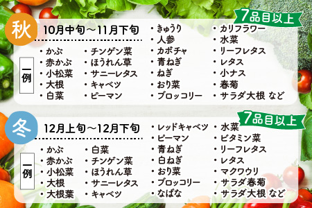 定期便 4回＞ 新鮮野菜セット 1箱 7品目以上 【春 夏 秋 冬 発送】／ 季節 野菜 ボックス BOX セット セレクト 農家 おまかせ 多品目  旬 詰め合わせ 根菜 葉物 | 福井県あわら市 | ふるさと納税サイト「ふるなび」