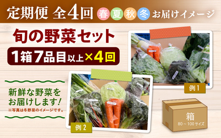 ハルナ様 野菜セット果物追加 BA025 野菜・フルーツ・卵 旬のおまかせセット （野菜・フルーツ