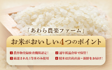 【令和7年産・新米】【一等米】ハナエチゼン 精米 10kg ×1袋《発送直前精米！》 ／ ブランド米 華越前 ご飯 お米 白米 新鮮 あわら市産 農家直送 大賞 受賞 新米 [aw012-b012]