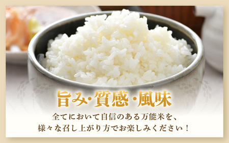 【令和7年産・新米】【一等米】ハナエチゼン 精米 10kg ×1袋《発送直前精米！》 ／ ブランド米 華越前 ご飯 お米 白米 新鮮 あわら市産 農家直送 大賞 受賞 新米 [aw012-b012]