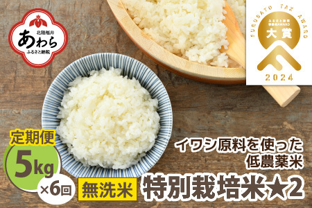 先行予約】【令和6年産】 《定期便6回》特別栽培米 コシヒカリ 5kg × 6回 （計30kg） 無洗米 低農薬 / 北陸 福井県産 あわら市 ブランド 米 白米 お米 コメ 特栽米 新米 ※2024年9月下旬以降順次発送 | 福井県あわら市 | ふるさと納税サイト「ふるなび」