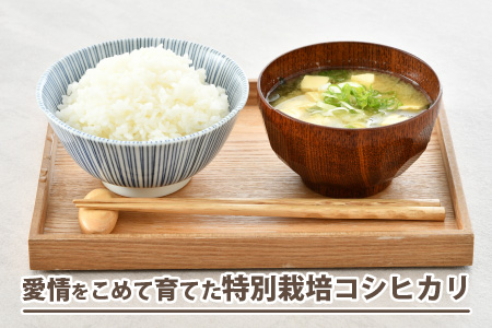 先行予約】【令和6年産】 《定期便6回》特別栽培米 コシヒカリ 5kg × 6回 （計30kg） 無洗米 低農薬 / 北陸 福井県産 あわら市 ブランド 米 白米 お米 コメ 特栽米 新米 ※2024年9月下旬以降順次発送 | 福井県あわら市 | ふるさと納税サイト「ふるなび」