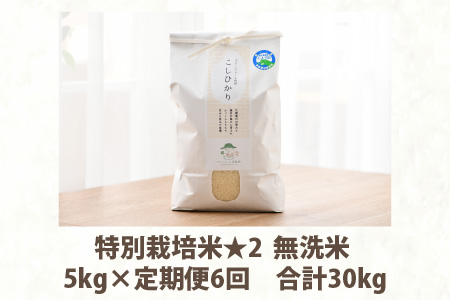 先行予約】【令和6年産】 《定期便6回》特別栽培米 コシヒカリ 5kg × 6回 （計30kg） 無洗米 低農薬 / 北陸 福井県産 あわら市  ブランド米 白米 お米 コメ 特栽米 新米 ※2024年9月下旬以降順次発送 | 福井県あわら市 | ふるさと納税サイト「ふるなび」