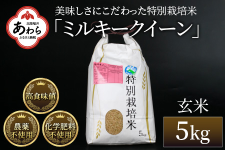 ふるさと納税 福井県 あわら市 【先行予約】 令和5年産新米 ミルキー