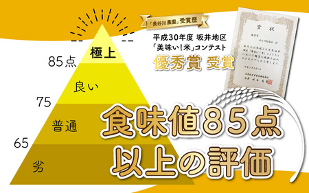 精米】 【先行予約】【令和5年産新米】《定期便12回》ミルキークイーン