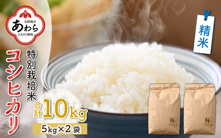 白米】【令和5年産新米】特別栽培米 コシヒカリ 5kg×2袋（計10kg）＜食味値85点以上！低農薬栽培＞ ／ 高品質 鮮度抜群 福井県あわら産  ブランド米 白米 玄米《出荷直前精米でお届け！》 | 福井県あわら市 | ふるさと納税サイト「ふるなび」